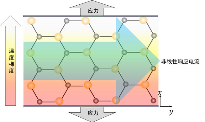 2020031202
